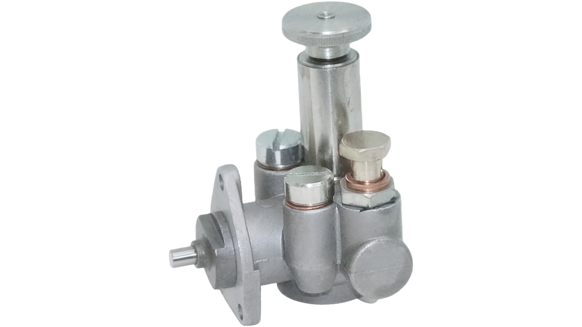 POMPKA ZASILAJĄCA BIZON  V2H001M1-T